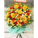 GO6632 Congratulation Flower Basket